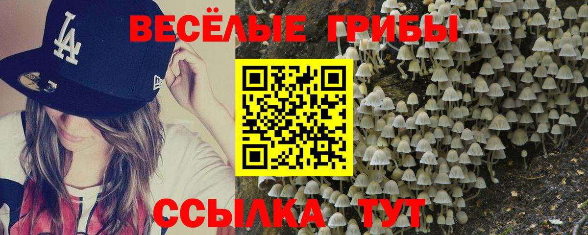 Галлюциногенные грибы ЛСД  Вход с VPN  Мирный  Галлюциногенные грибы Magic Shrooms 